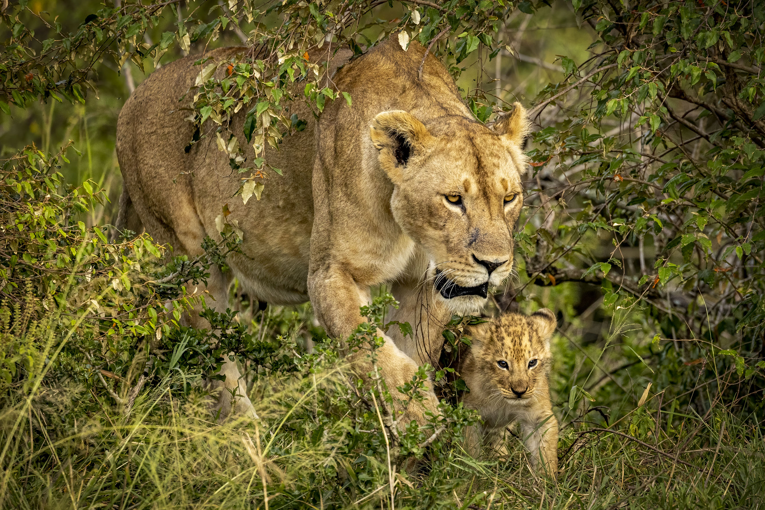 November 10, 2022-072840-6-Edit.jpg